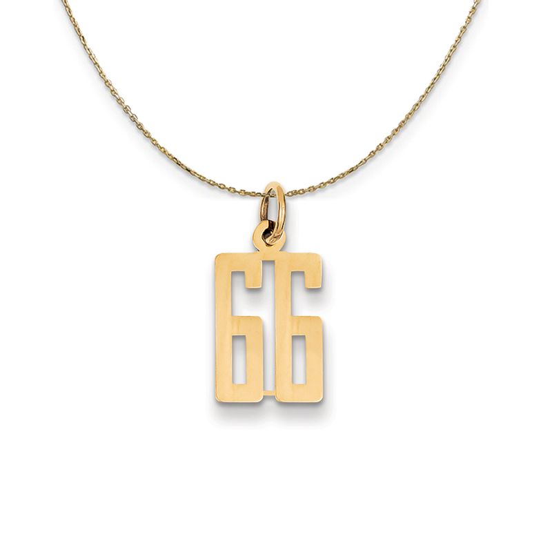 14k Yellow Gold, Alumni Small Elongated Number 66 Necklace - 20 Inch